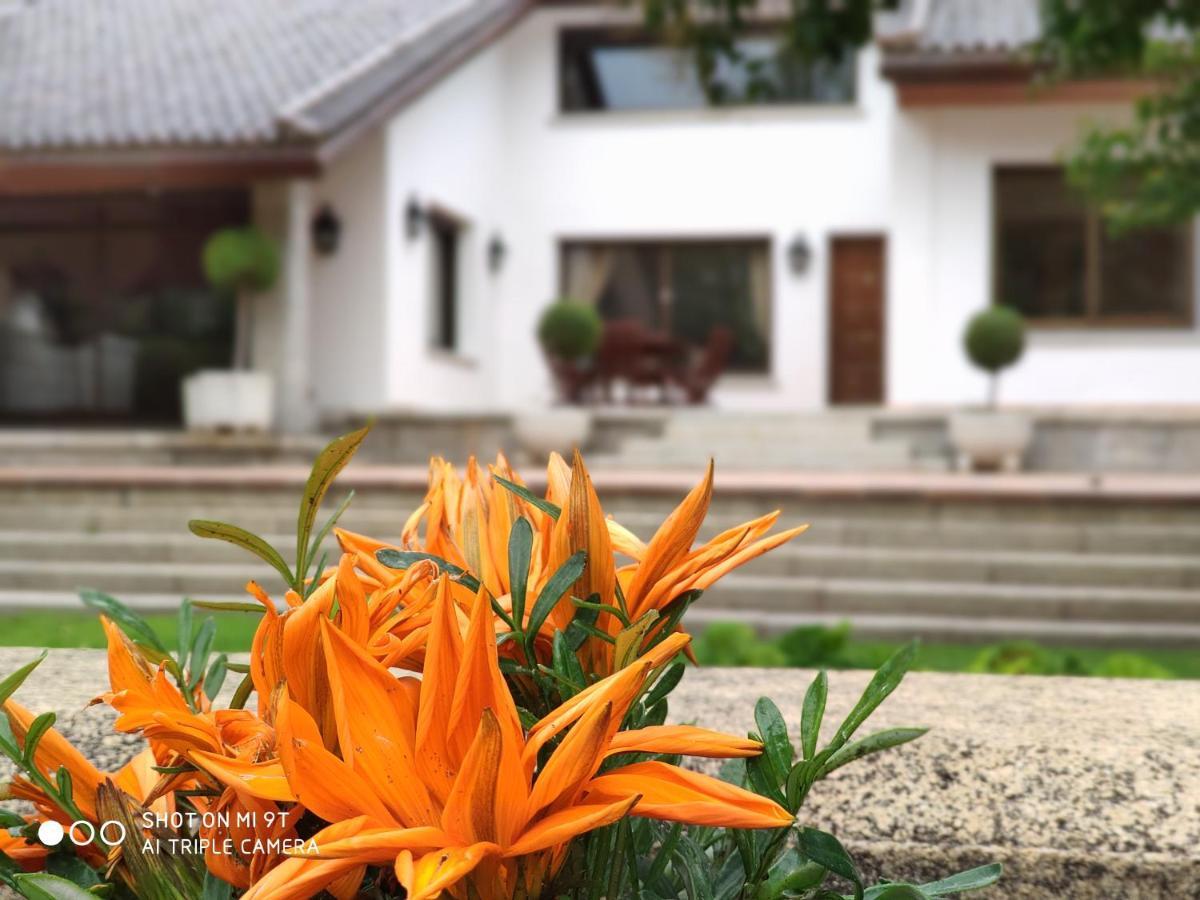 Villa Blanca Con Piscina A 15 Minutos De Toledo - Apartamentos Aloha Toledo Olías del Rey Exterior foto